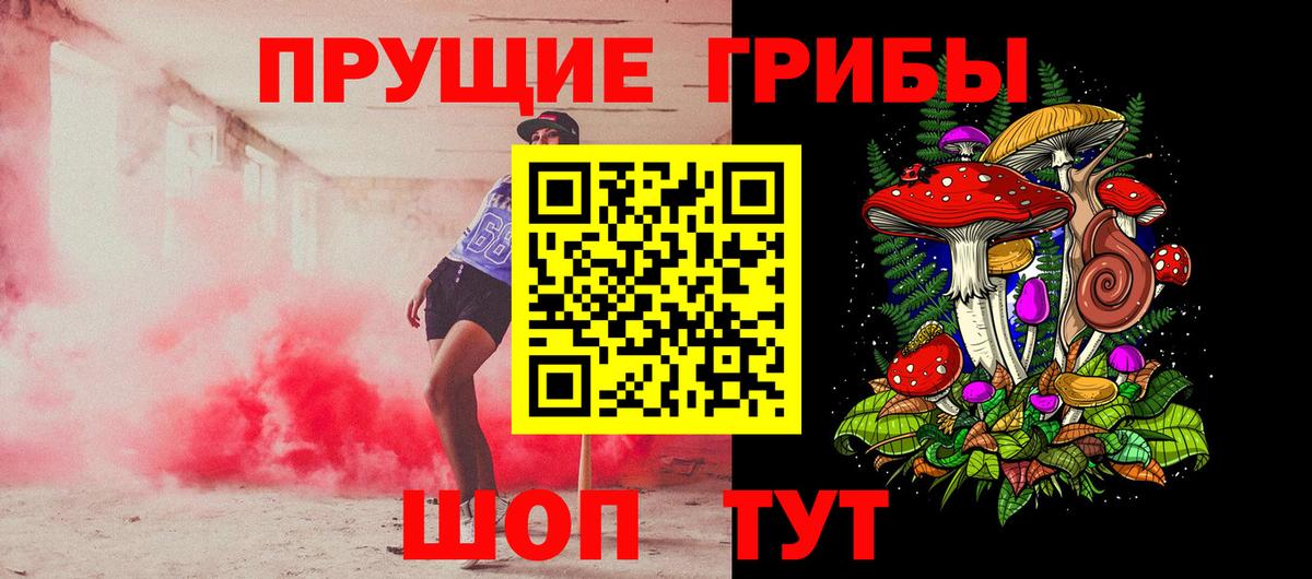 Псилоцибиновые грибы Cubensis  Вход с VPN  Моздок 